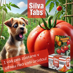 463387900_120212645886740052_3697594666130274198_n